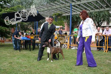 CAMPEON EN PORTUGALETE 2008.